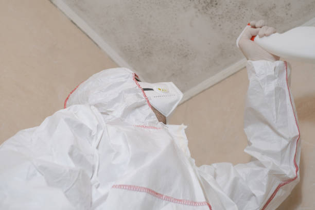 Best White Mold Remediation in North Caldwell, NJ