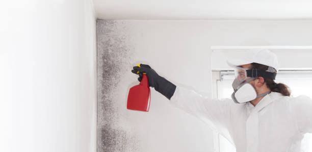 Best Mold Remediation for Schools in North Caldwell, NJ