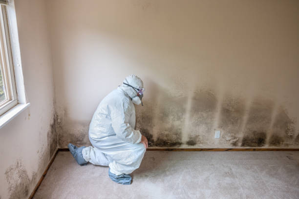 Best Industrial Mold Remediation in North Caldwell, NJ