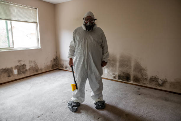 Trusted North Caldwell, NJ Mold Remediation Experts